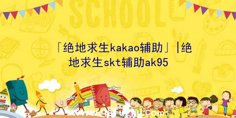 「绝地求生kakao辅助」|绝地求生skt辅助ak95